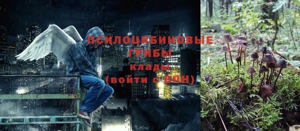 тгк Козельск