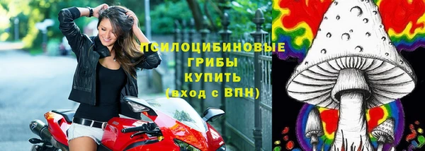 мяу мяу мука Киренск
